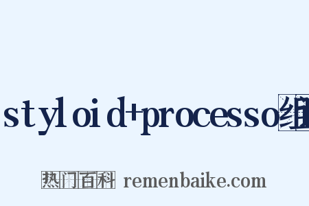 styloid+processo组词是什么意思的图片